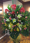 Mixed Flower Arrangement - A Standard CODE 21973